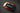 Vinyl Garage Key Fob Decal For 4Runner (2025-Current)